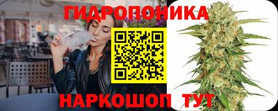 jwh Краснодар