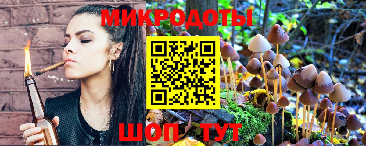 Электрогорск  закладка  Псилоцибиновые грибы GOLDEN TEACHER  Вход с VPN  Галлюциногенные грибы мухоморы 